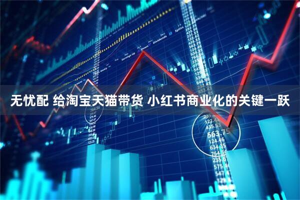 无忧配 给淘宝天猫带货 小红书商业化的关键一跃